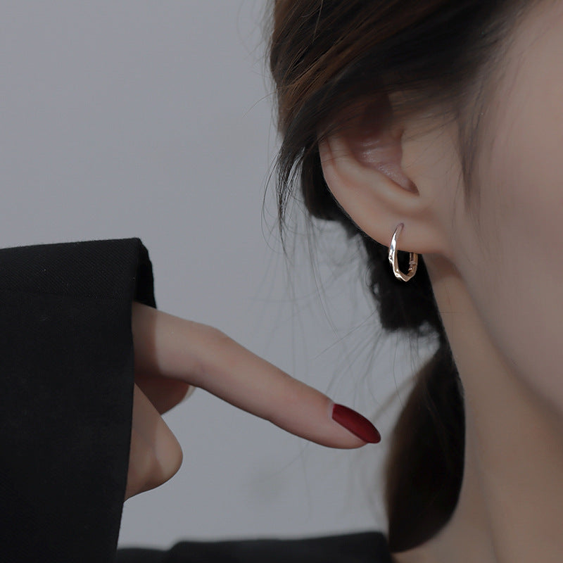 Twisted silver earrings