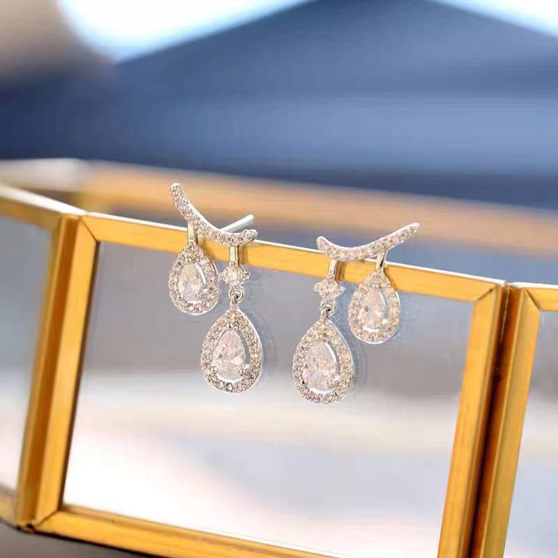 Double Drop Shaped Earrings